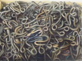 GANCI 1999 grafite e matite colorate su carta Fabriano Tiepolo cm 24x36 