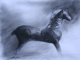 IL CAVALLINO DI BRONZO 2003 Carboncino su carta Bakri cm 21x29,5