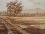 LA QUERCIA AL PRA' DEI GAI 1999 Seppia e crete su cartone bruno cm 25x36