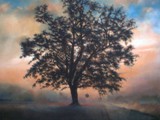 L'ALBERO DI REITIA 2000 olio su tela cm 100x120