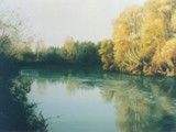 PIAVE I  1994 olio su tela cm 50x70