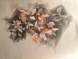 icona opere disegno