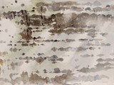 01 SPARTITO - CORTECCIA n°1  2012 acquerello su carta Fabriano cm 17,7x34,5 x