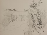 SCHIZZO DI PAESAGGIO VERSO LE FOCI DEL SILE 2010 Grafite su carta Fabriano Tiepolo cm 27x31